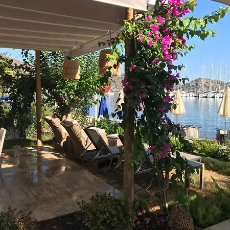 Base Selimiye 5*